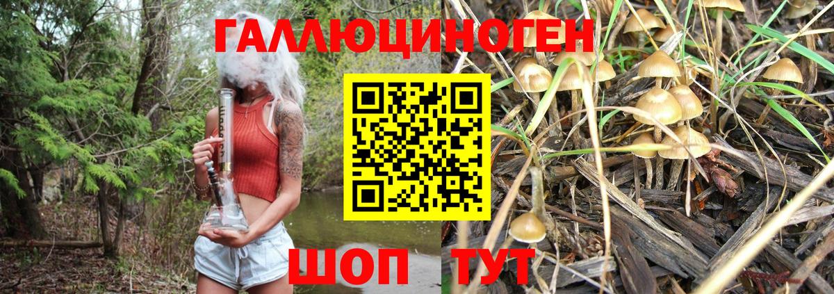 Псилоцибиновые грибы мицелий Балтийск