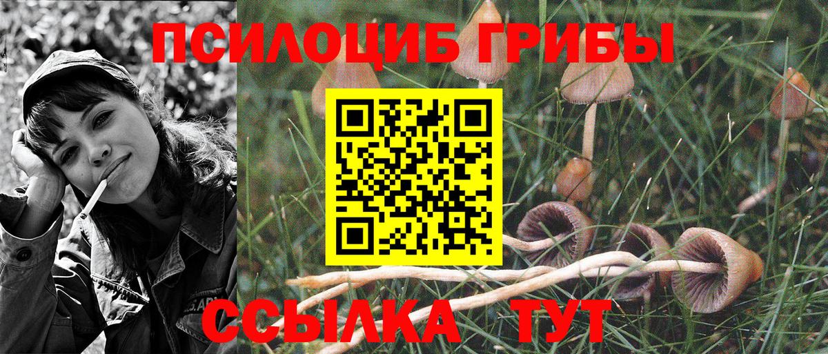 где купить наркотик  Вход с VPN  Балтийск  Галлюциногенные грибы Cubensis 